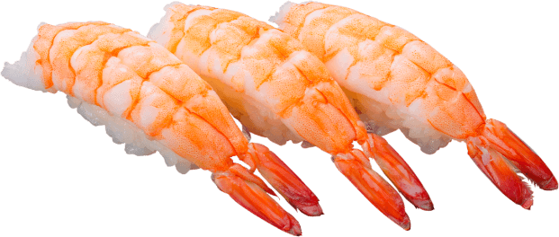 小エビ握り