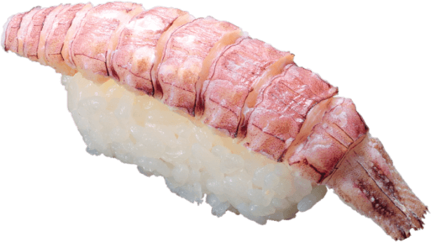 シャコ